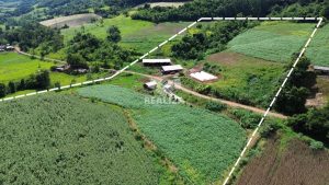 Leia mais sobre o artigo Levantamento e análise dos determinantes do comportamento do preço de terra em Santa Catarina