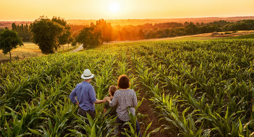 No momento, você está visualizando Gestão de Unidades de Produção Agropecuária Familiar do Sul do Brasil: proposição de ações a partir da percepção dos agricultores