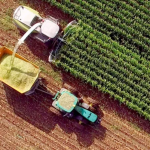 Estudo e analise do desempenho da agropecuária e do agronegócio de Santa Catarina 2024 a 2026
