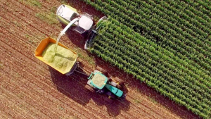 Leia mais sobre o artigo Estudo e analise do desempenho da agropecuária e do agronegócio de Santa Catarina 2024 a 2026