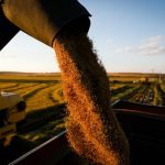Sistema de preços agropecuários de Santa Catarina (2024-2026)
