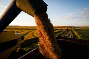Leia mais sobre o artigo Sistema de preços agropecuários de Santa Catarina (2024-2026)