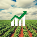Levantamento e analise das expectativas de produção agrícola de Santa Catarina – safras 2023/24 a 2026/27
