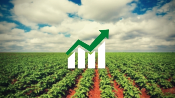 No momento, você está visualizando Levantamento e analise das expectativas de produção agrícola de Santa Catarina – safras 2023/24 a 2026/27