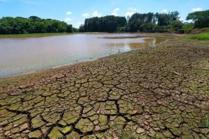 Leia mais sobre o artigo Estratégias e instrumentos para mitigar riscos e incertezas dos agricultores de Santa Catarina