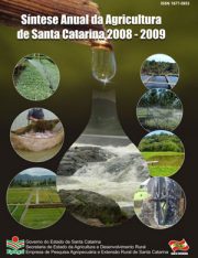 Capa-Síntese-anual-2009