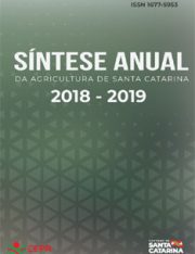 Capa_sintese_2019