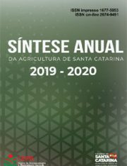 Capa_sintese_2020