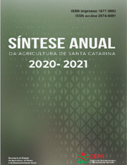 Capa_sintese_2021