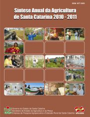 Capa_sintese_anual_2011