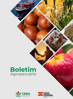 Frame 1321314338