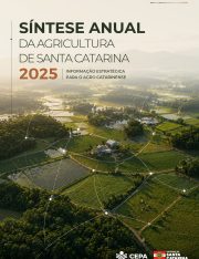 Síntese Anual capa.jpg