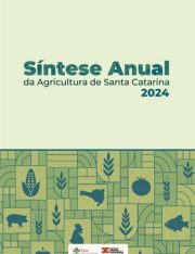 Sintese_2024_1