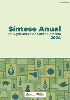 Sintese_2024_1