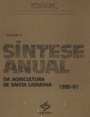 capa_sintese_1991_v2